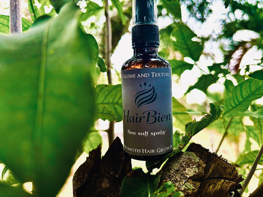 HairBien SeaSalt Spray